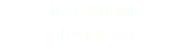 David Herrmann Level Design